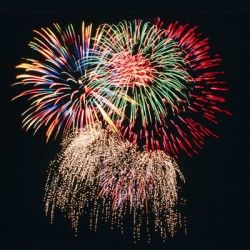 La forza della Fabi nasce dalla capacità di essere comunità, di tenere insieme competenze, esperienze e sensibilità diverse in un progetto comune.